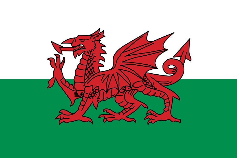  Flag of Wales Painting by Unknown