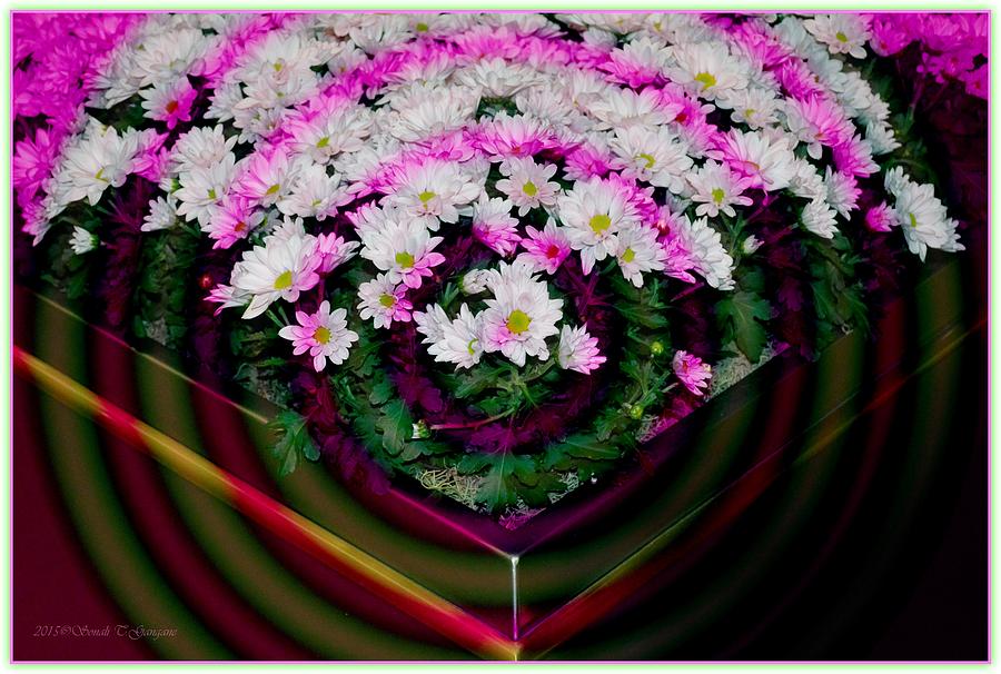  Floral Rings Digital Art by Sonali Gangane