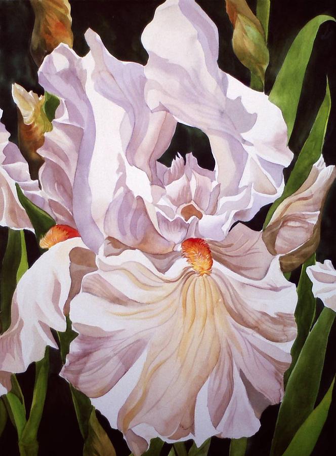  Flower-White Iris Painting by Alfred Ng