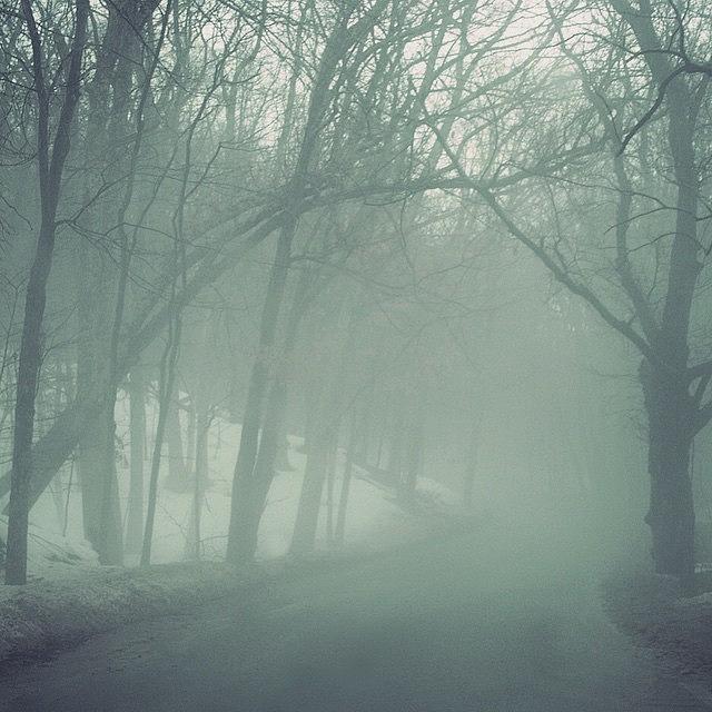 Nature Photograph - 💜 Fog 3/26/2015 #trees #fog #weather by Kerri Ann McClellan