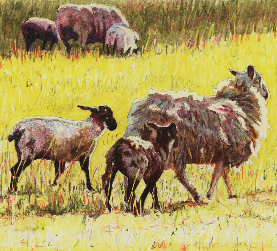 Sheep Painting -  Following by Helen White