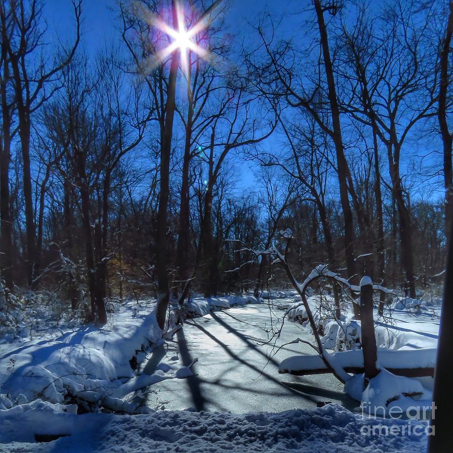  Frozen creek  Photograph by Rrrose Pix