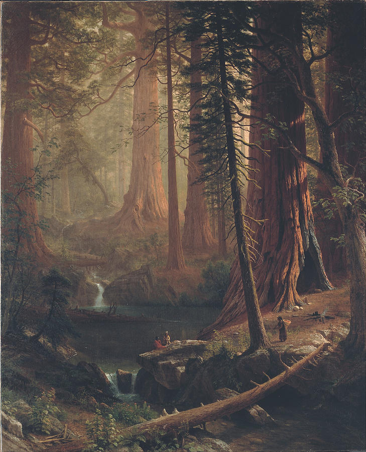 Albert Bierstadt  Painting - Giant Redwood Trees Of California #3 by Albert Bierstadt