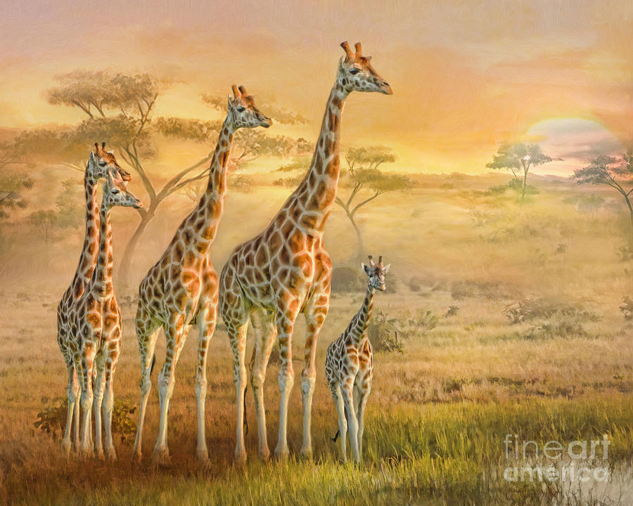  Giraffe Family Digital Art by Trudi Simmonds