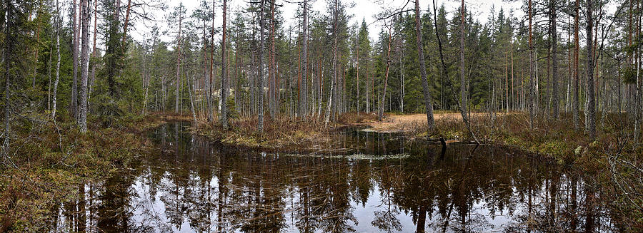 Haukkajoki panorama 1 Photograph by Jouko Lehto
