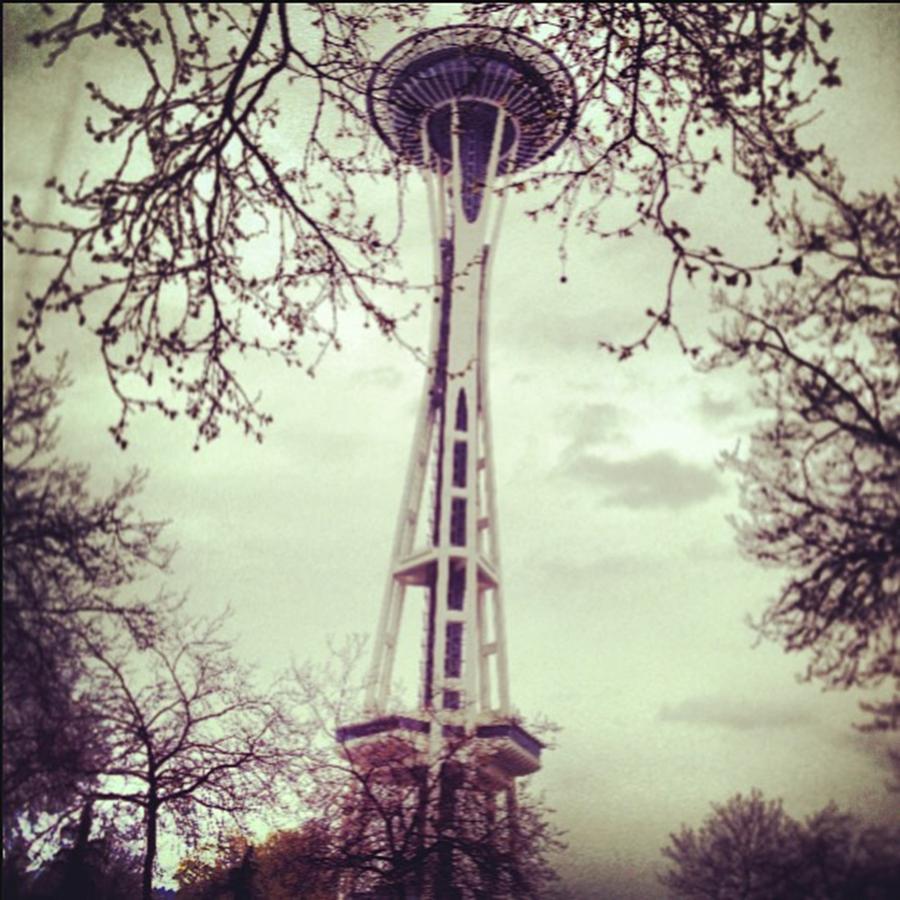 Seattle Photograph - • Having Lunch With My Ladies At The by Diana Rosales 