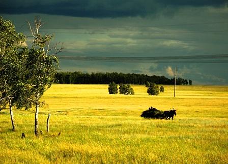 Landscape Painting - Home by Brechshuk Sergey Landscape Painting - Home by Brechshuk Sergey