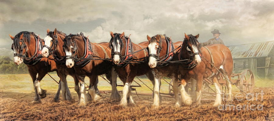  Horse Power Digital Art by Trudi Simmonds