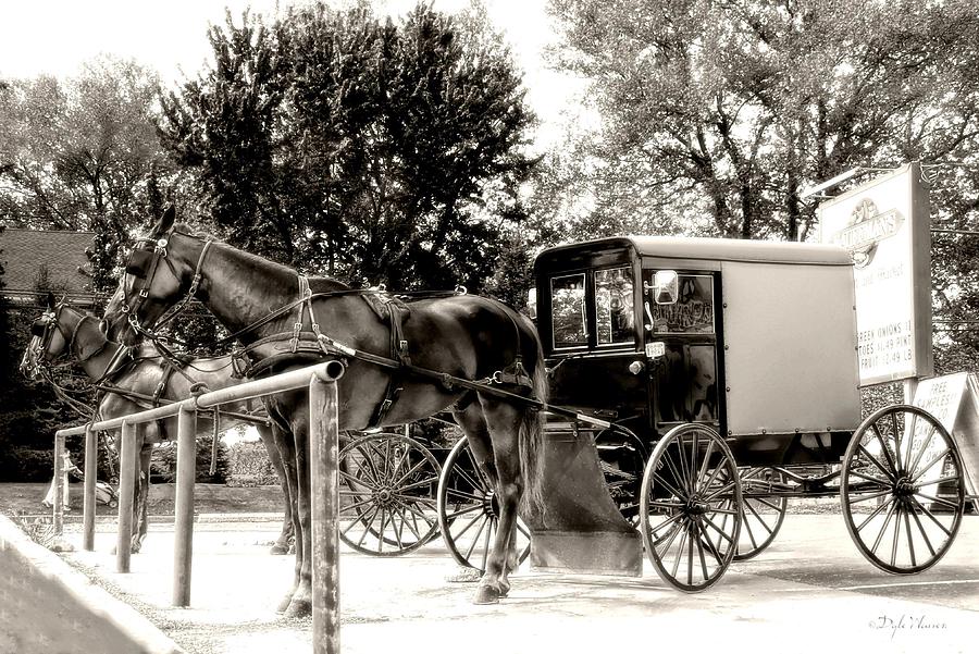  Horses n Buggies Photograph by Dyle   Warren
