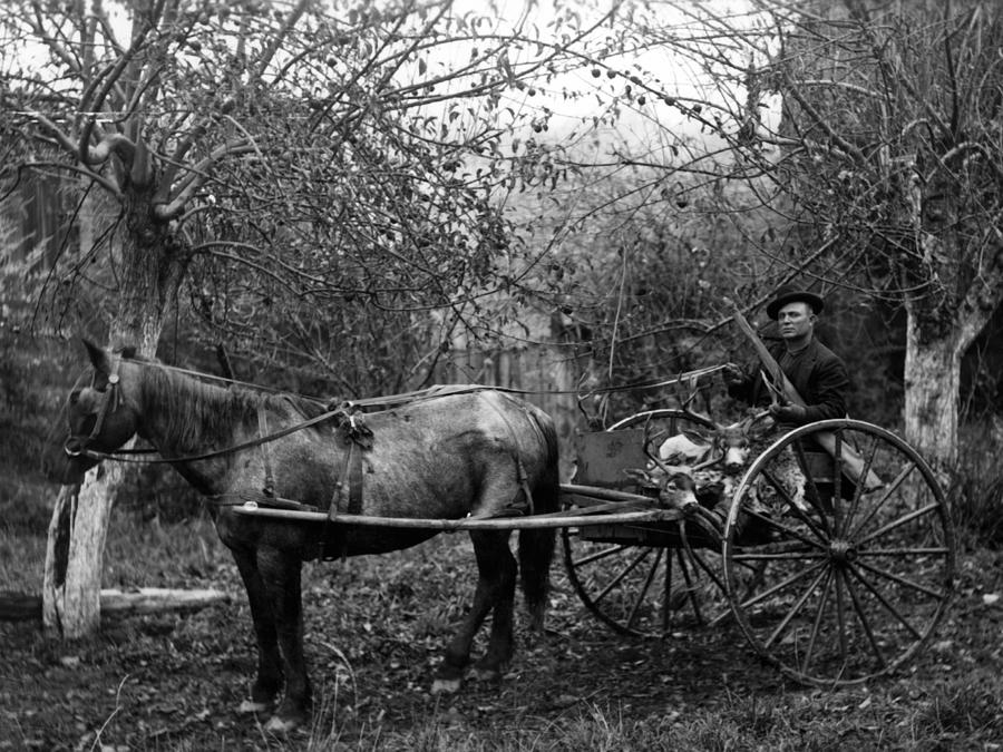 Hunter Game In Horsedrawn Wagon 1890s Black Photograph by Mark Goebel ...