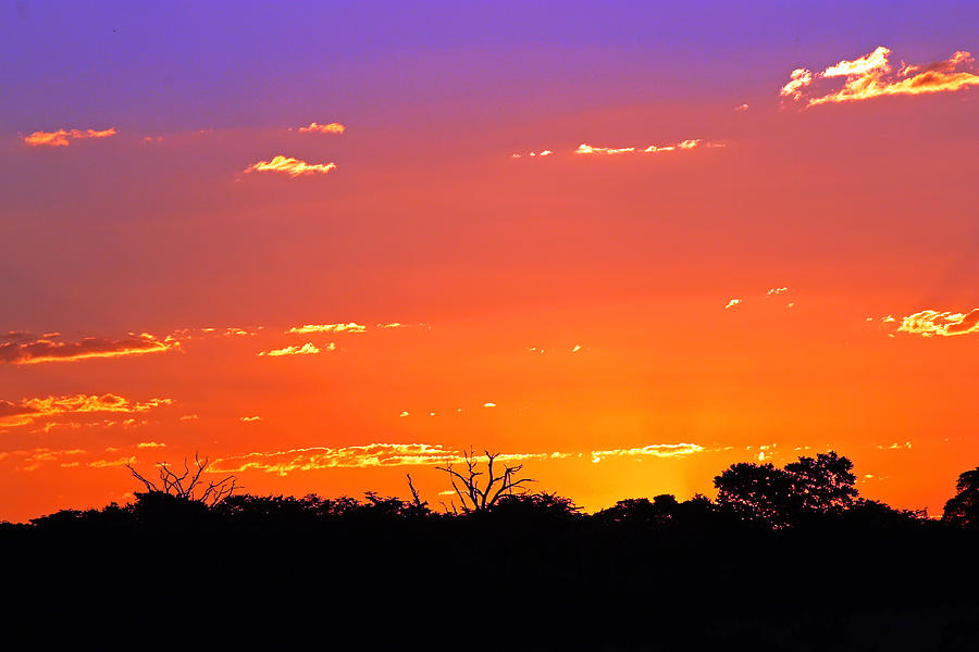 Hwange Sunset Photograph by Tony Murtagh