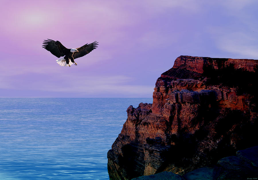Eagle Digital Art -  Im free to fly by Evelyn Patrick