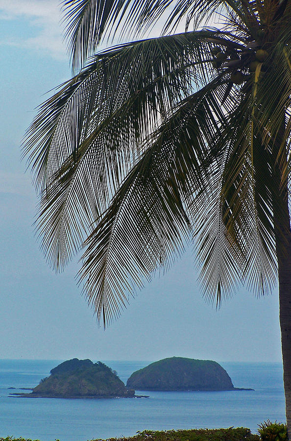  Islands Under the Palm Photograph by Jennifer Robin