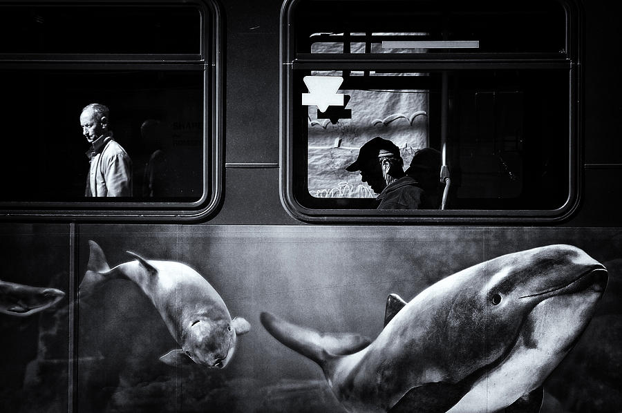 Black And White Photograph - :: by Jianwei Yang