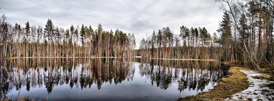 Liesilampi panorama Photograph by Jouko Lehto