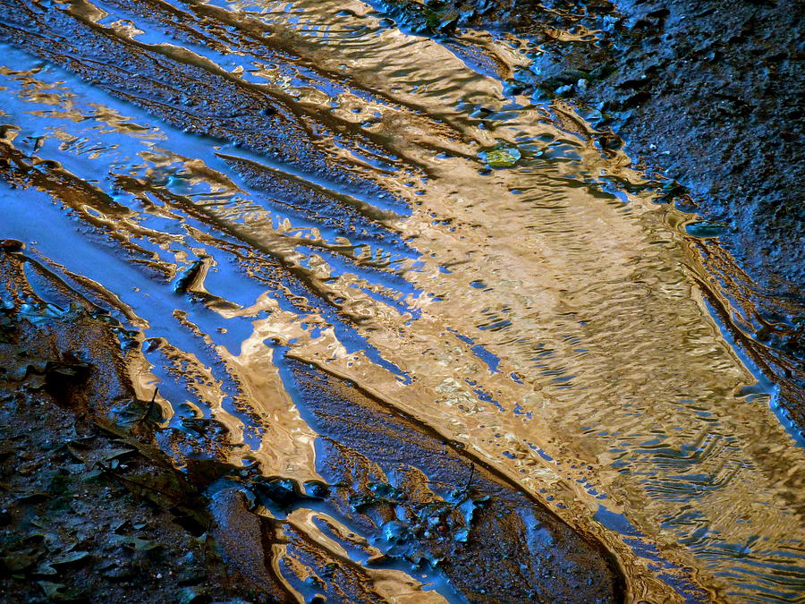  Liquid Gold Photograph by George Tuffy