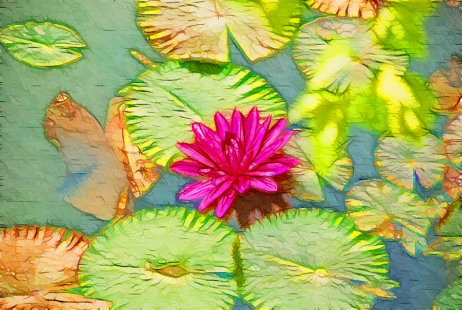 Lily Painting -   Lotus in the pond by Jeelan Clark