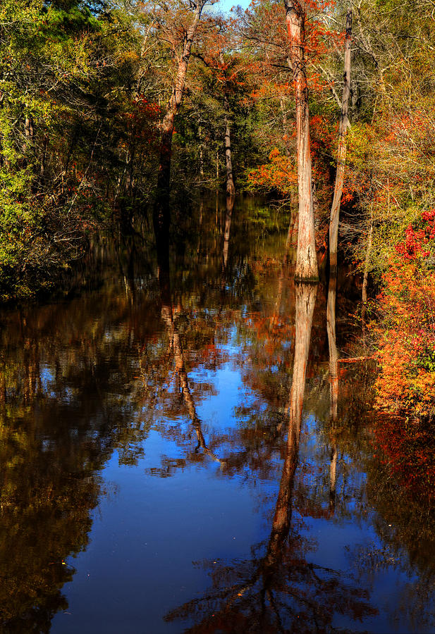  Louisiana Autumn and Reflection Photograph by Ester McGuire