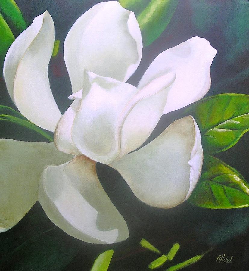  Magnolia Delight Painting Painting by Chris Hobel