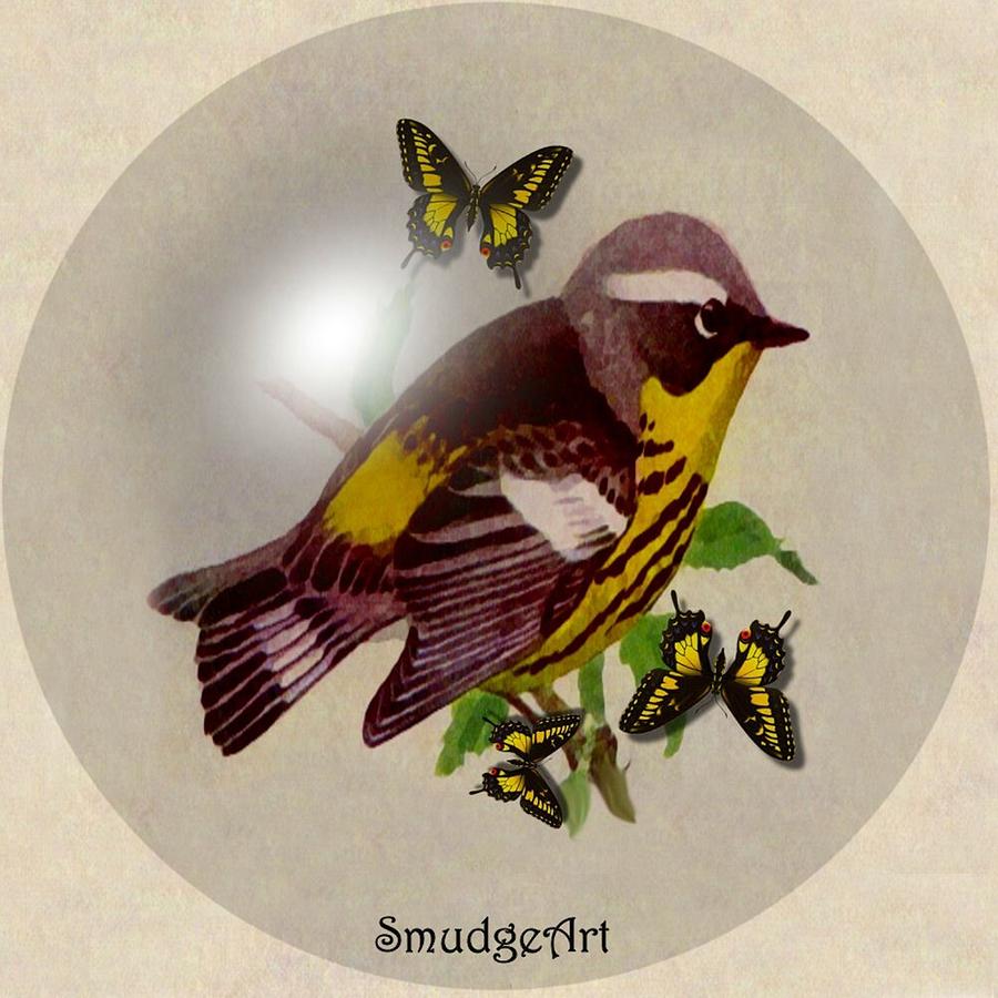 Unique Digital Art -  Magnolia Warbler by Madeline  Allen - SmudgeArt