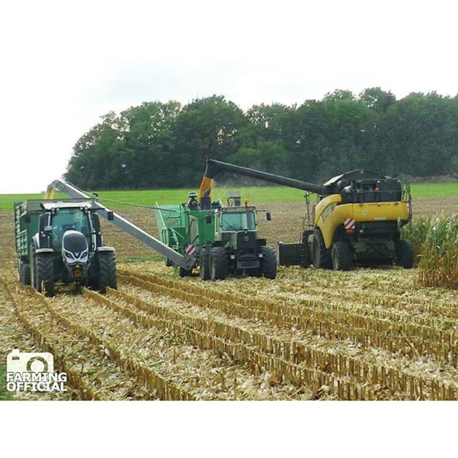 ▪ Maisdreschen Mit New Holland Cr960 Photograph by Farming  Official