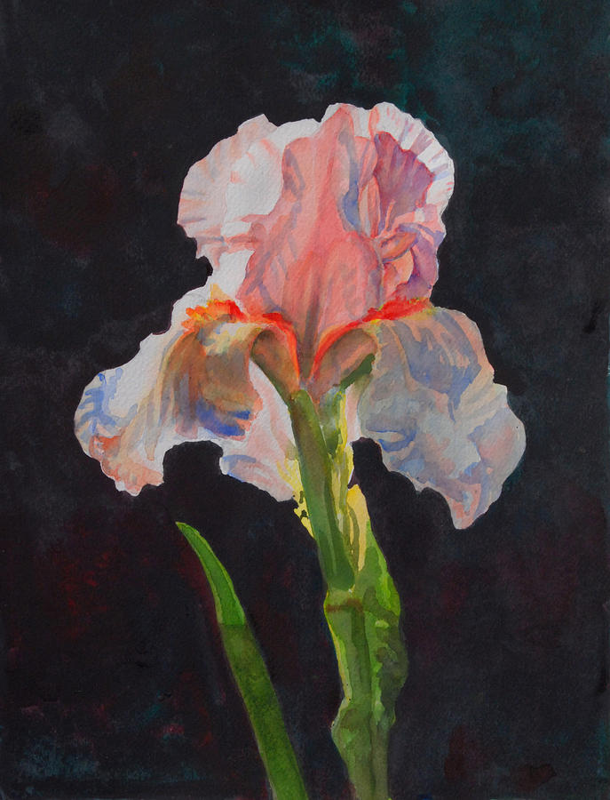  Majestic Iris Painting by Heidi E Nelson