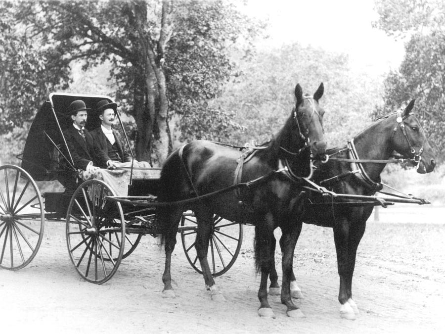 Transportation Photograph -  Men Males In Buggy 18801890 Black White 1880s by Mark Goebel