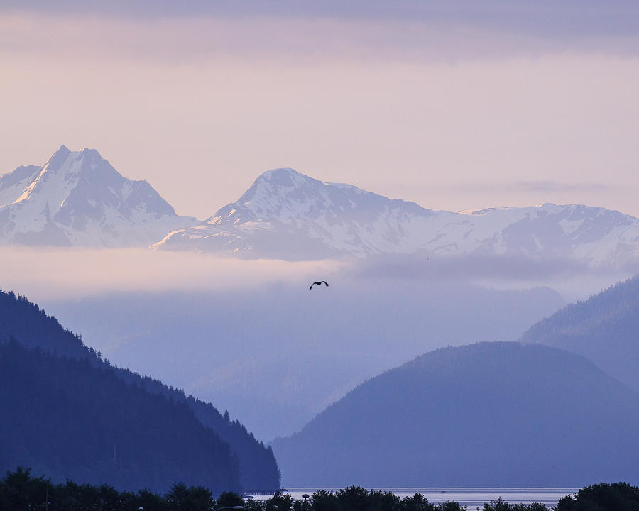  Morning Cloudness at Taku Inlet Juneau Photograph by Allan Levin