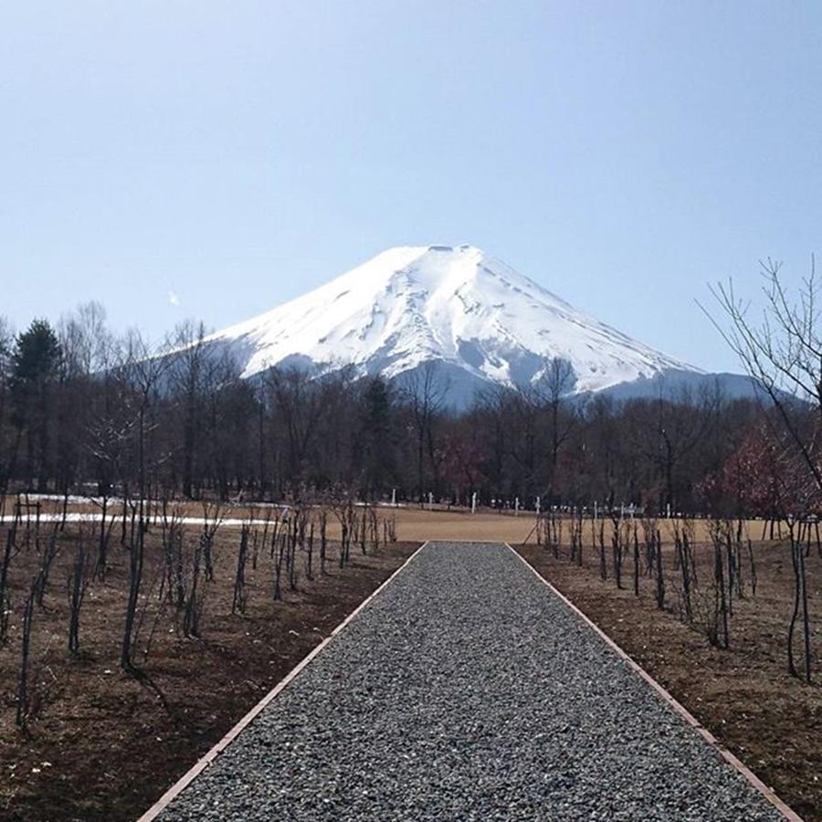 Japan Photograph - Mt.Fuji by Mono Hibiki