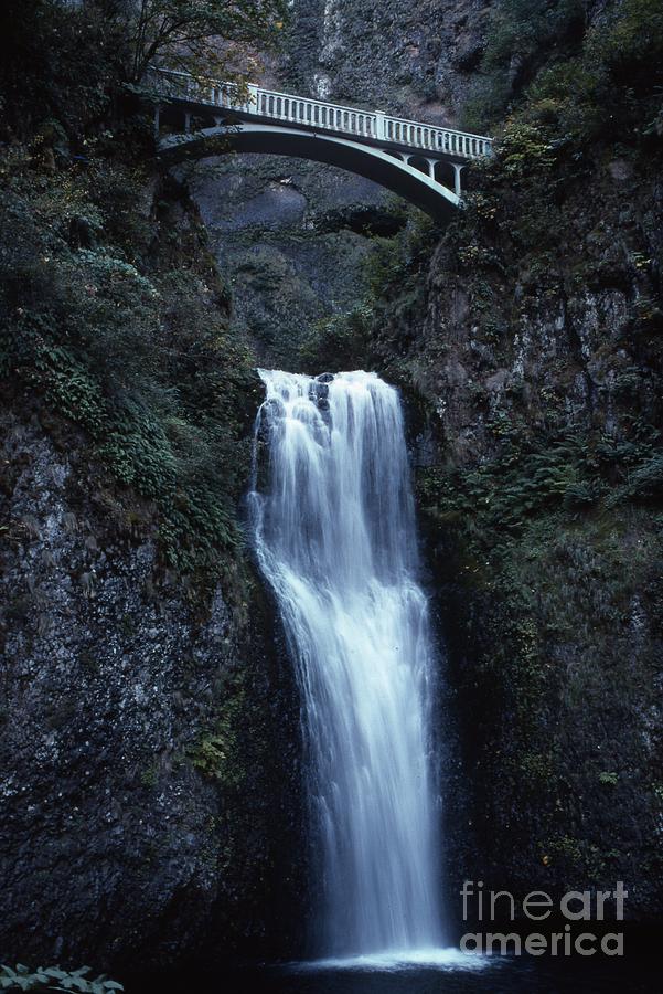  Multnomah Falls Photograph by Edward R Wisell