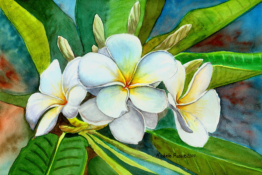 Plumeria Painting -  My Favorite by Michele Ross