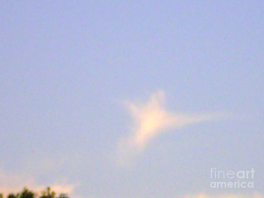  Natural Dove Cloud Photograph by Robin Coaker