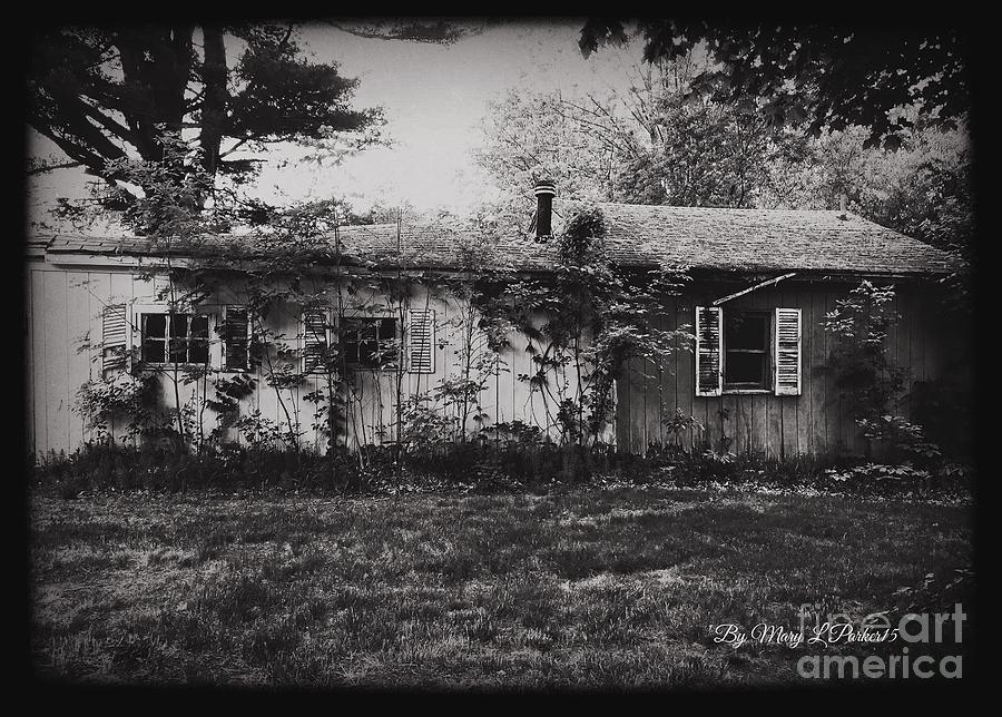  Old and Tired House  Photograph by MaryLee Parker