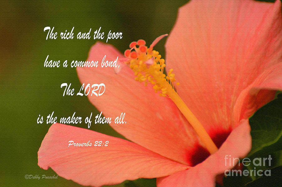  Proverbs 22  2 Photograph by Debby Pueschel