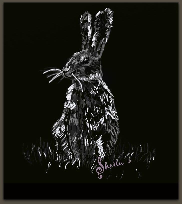 Rabbit Digital Art by Sheila Lubeski | Fine Art America