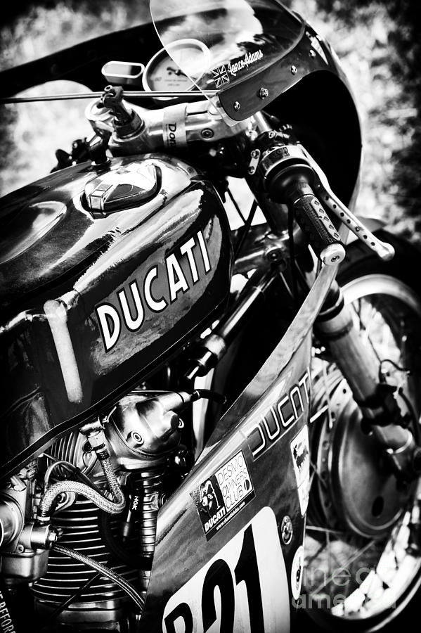  Racing Ducati Monochrome Photograph by Tim Gainey