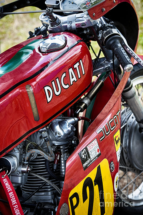  Racing Ducati  Photograph by Tim Gainey