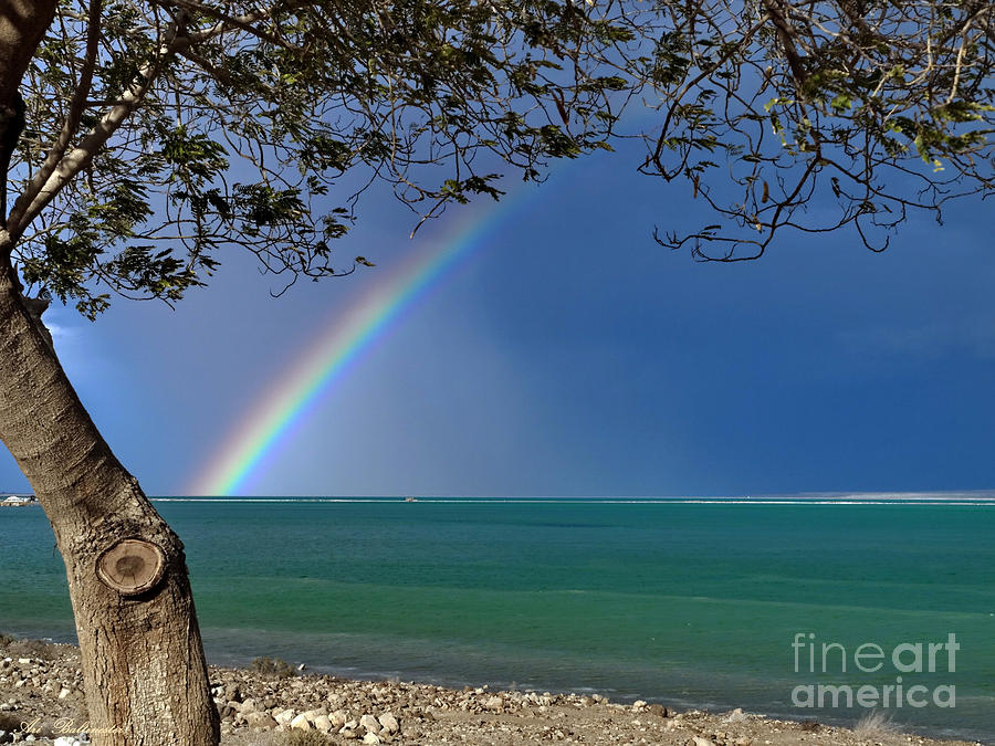   Rainbow at the Dead Sea  Photograph by Arik Baltinester