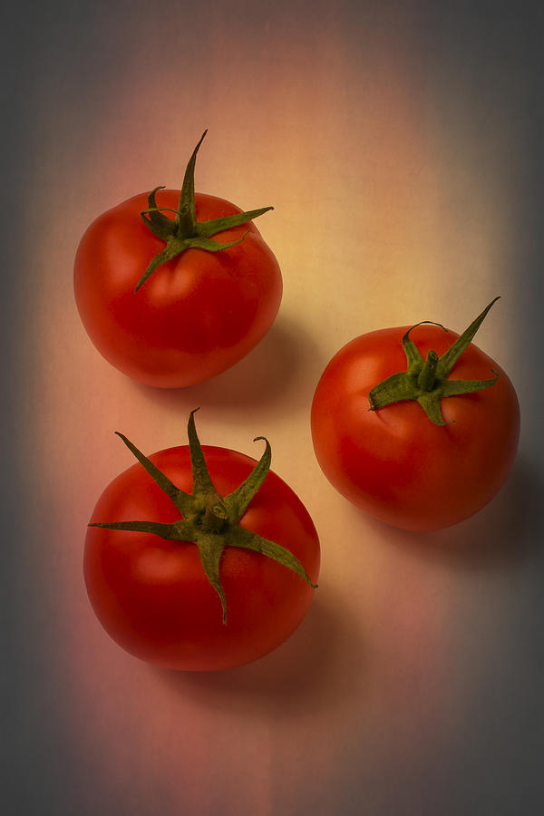  Red Tomatoes Photograph by Garry Gay