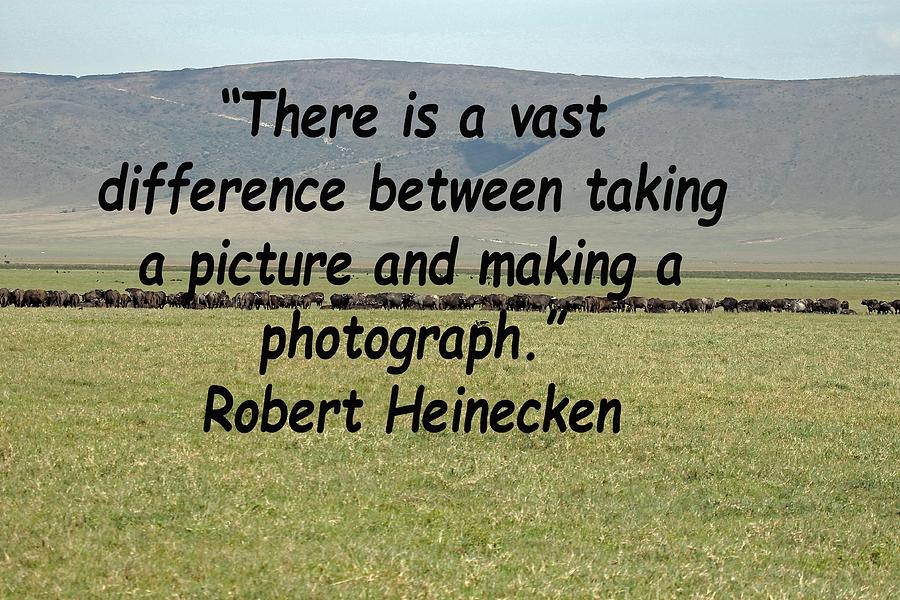  Robert Heinecken Quote Photograph by Tony Murtagh