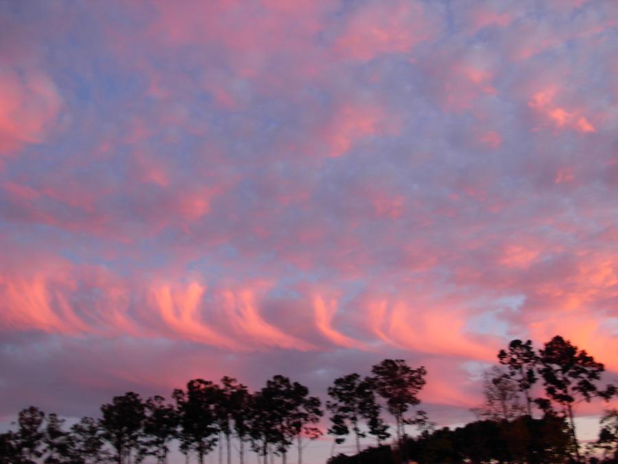  Salmon Cloud Parade at Sunset Photograph by Jeanne Juhos