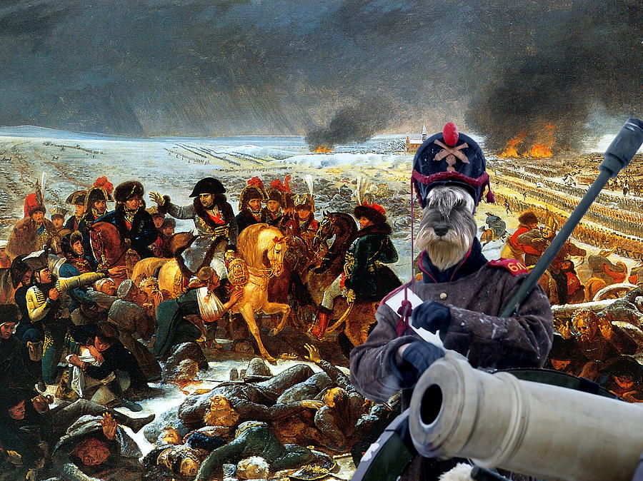  Schnauzer Art  - Napoleons army Painting by Sandra Sij