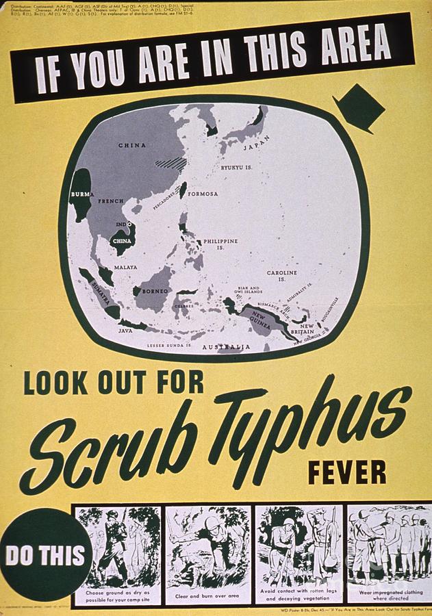 Scrub Typhus Fever Painting by MotionAge Designs