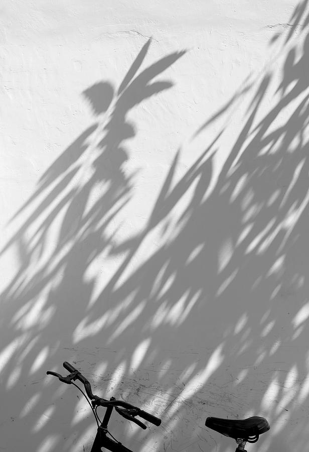 Minimal Photograph -  Shadow Bath by Prakash Ghai