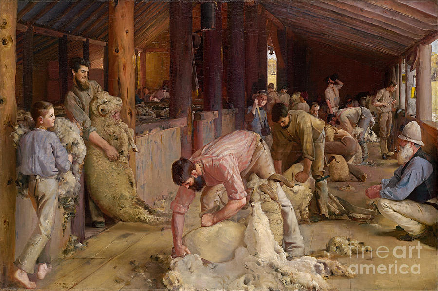  Shearing the rams Painting by Celestial Images