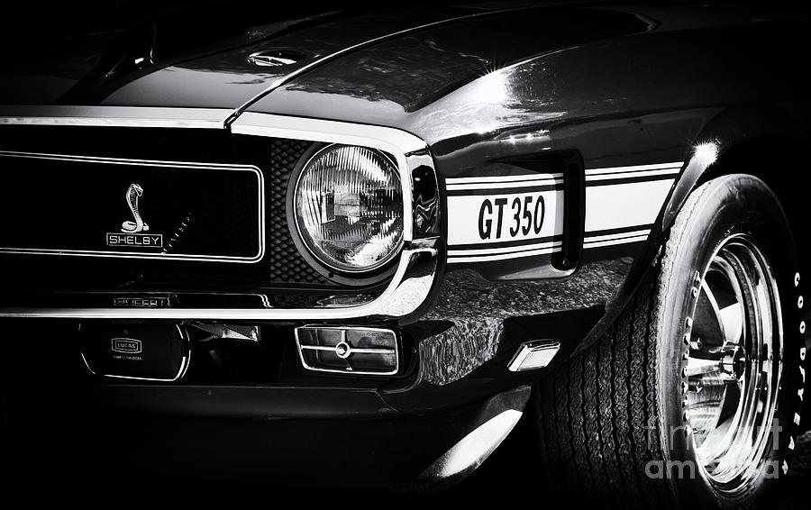 Shelby GT350 Photograph by Tim Gainey