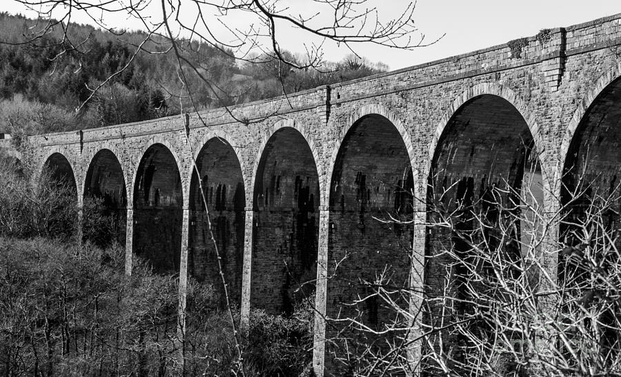  Shilla Mill Viaduct Photograph by Helen Jackson