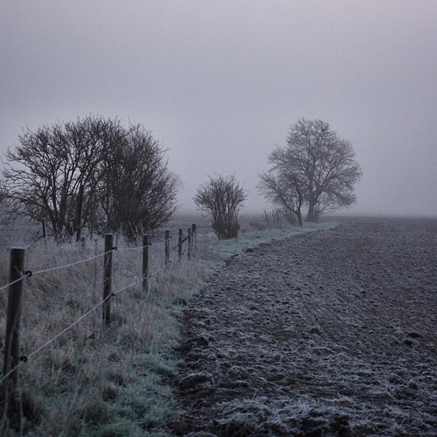 Spring Photograph - | Slight Frost |

#photowall by Gareth Mate