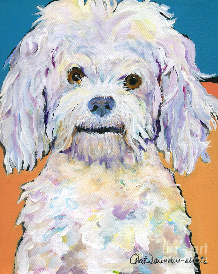 Poodle Painting -  Snowball by Pat Saunders-White