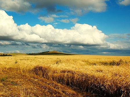 Landscape Painting - Song javoronka by Brechshuk Sergey Landscape Painting - Song javoronka by Brechshuk Sergey